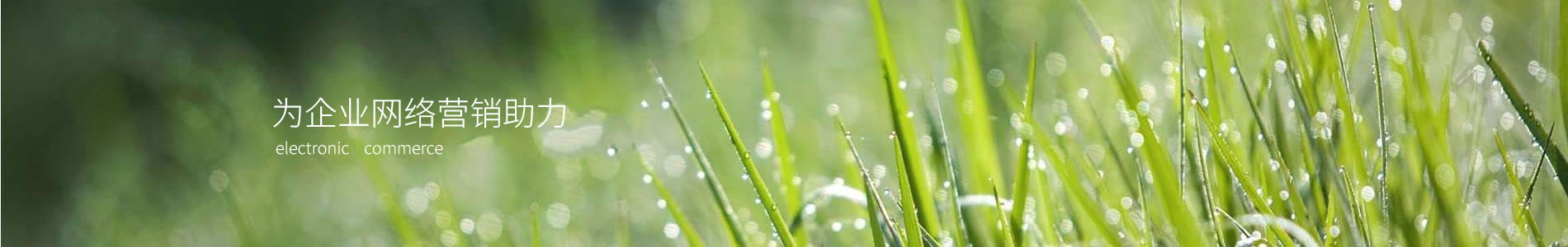 żʢ޹˾